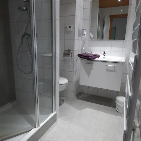 Les Flocons Hotel 3*